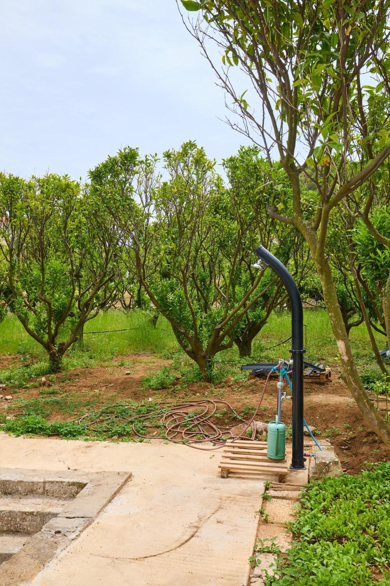 דירות Beloc House Lopud Island מראה חיצוני תמונה